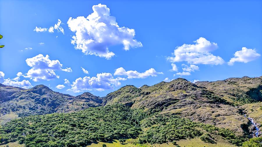 Forêt de tapia endémique de Tsitondroina